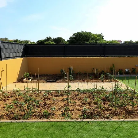 Pecora Nera 펜션 자다르